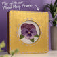 Bucilla Stamped Embroidery Kit Pretty Pansy Kit
