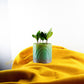 Daisy Rainbow Planter
