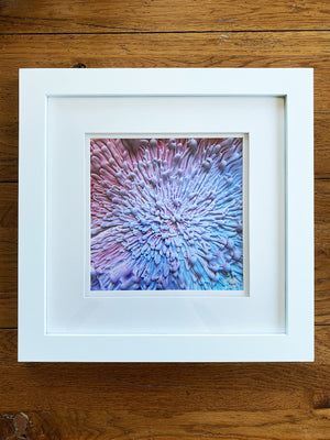 Bespattered Facade 8" x 8" Resin Petri Macro Giclee Print