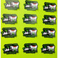 Jurassic Oregon Trail Sticker