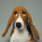 Felting kit Basset Hound V-148C