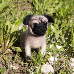 Felting kit Pugdog V-149C