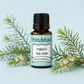 Tea Tree Organic Essential Oil