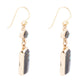 Geo Blue Abalone Golden Drop Earrings