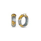 Mini Gold Leaf Lucite Hoop Earrings