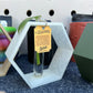 Hexagon Propagation Station