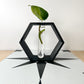 Hexagon Propagation Station