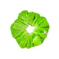 Luxe Velvet Scrunchie | lime