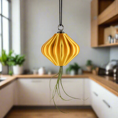 jellyfish air planter MAGNETIC Air Planter, JellyFish, Air Plant Included