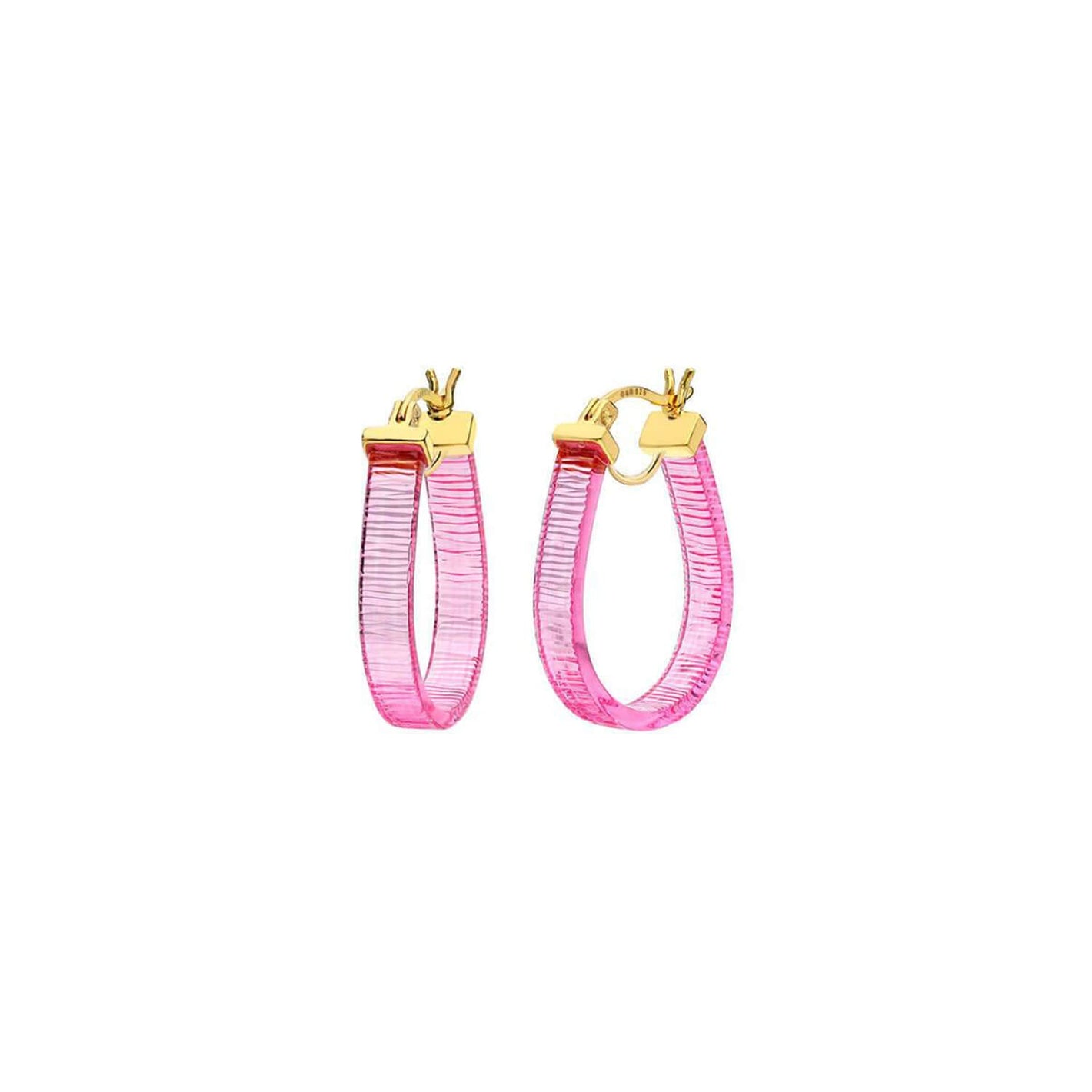 Mini Horseshoe Lucite Hoop Earrings