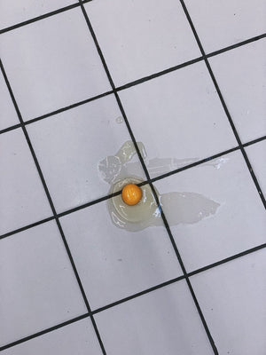 Shop Oopsie