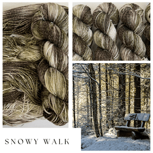Snowy Walk