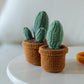 Cacti Amigurumi DIY Crochet Kit Wizardi F07N8-M191-M193