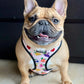 Frootie Patootie Reversible Harness