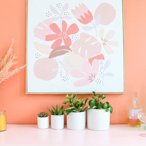 Two Tone Gradient Cement Planter