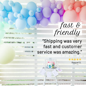Soft Pastel Rainbow Balloon Garland Kit