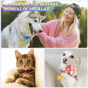 Let's Resin Silicone Mold - Pet Tag