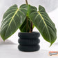 Ribbed Bubble Plant Pot With Drainage and Saucer