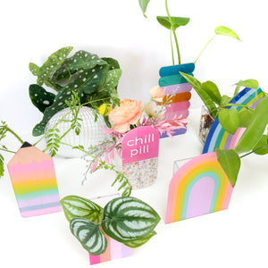 Blue Half Rainbow Arch Standing Propagation Planter