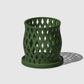 Capricious Orchid Planter Pot